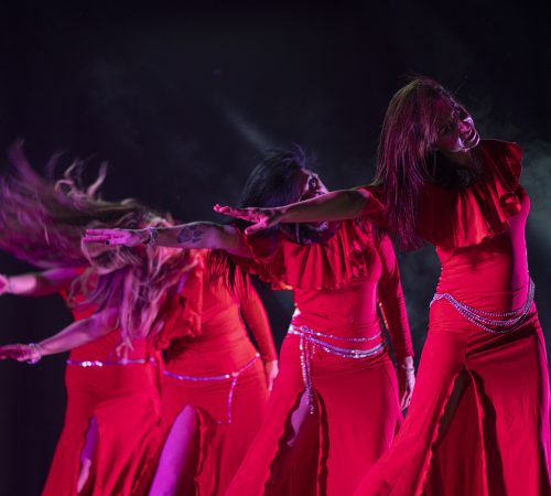 bellydance bellydance