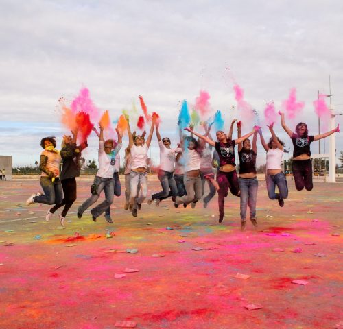 Holi-1-501