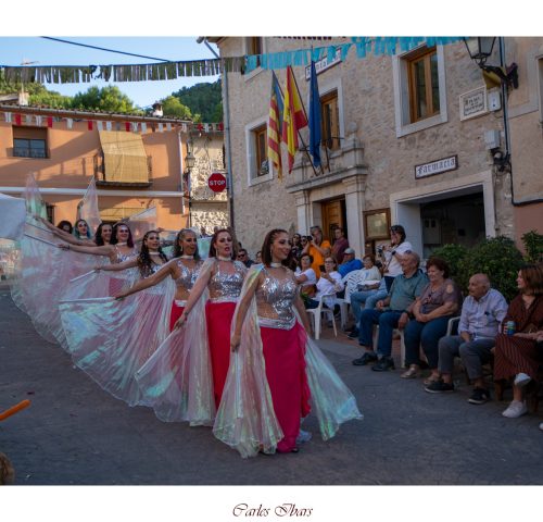 festes carricola-55